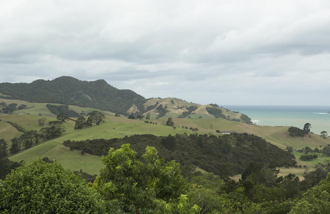 Ocean View B&B Whitianga Eksteriør bilde